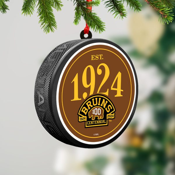 Boston Bruins 2-Side Printed Acrylic Ornament - TANTN 2883.2