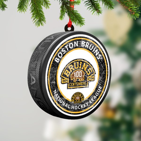 Boston Bruins 2-Side Printed Acrylic Ornament - TANTN 2883.3