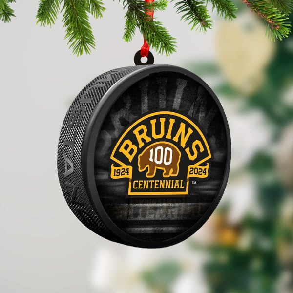 Boston Bruins 2-Side Printed Acrylic Ornament - TANTN 2883.4