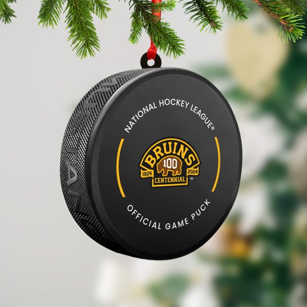 Boston Bruins 2-Side Printed Acrylic Ornament - TANTN 2883.5