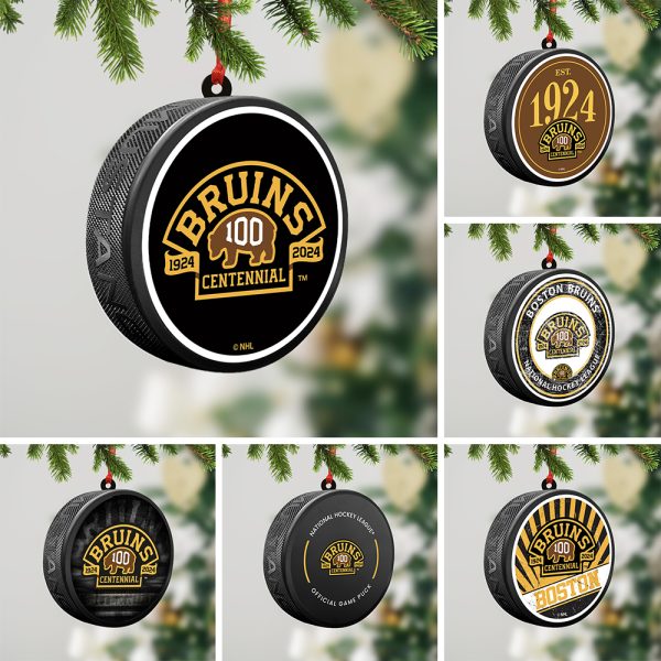 6PCS Boston Bruins 2-Side Printed Acrylic Ornament Set - TANTN 2883