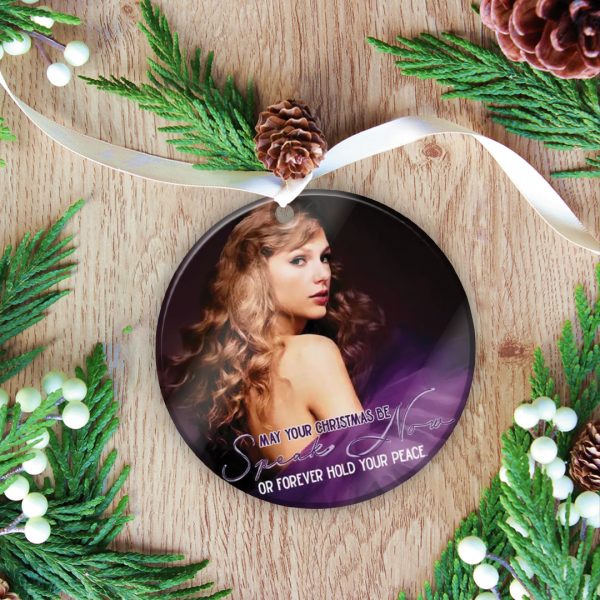 10PCS Taylor Swift Fixed Shape 2-sided Acrylic Ornament - ANHNV 3265