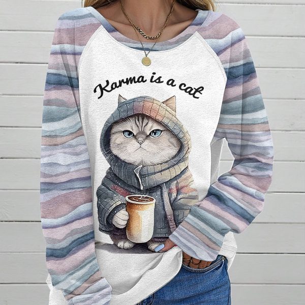 Taylor Swift x Cat lovers Round Neck Raglan Sleeve Sweatshirt – VANDH 1889