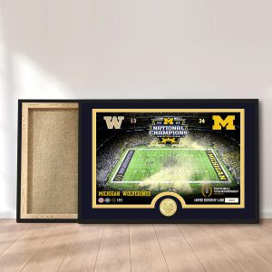 Michigan Wolverines Football Canvas - MAITM 5638