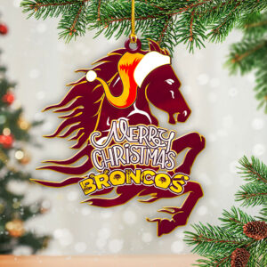 Brisbane Broncos Custom Shape 2-Side Printed Acrylic Ornament – HOATT 6605