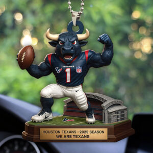 Houston Texans 2025 Season Custom shape 2-sided Acrylic Car Ornament - HOATT13670