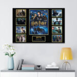 Harry Potter 25th Anniversary Rectangle Canvas With Inner Frame – HOATT15398