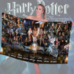 Harry Potter Rectangle Beach Towel – TMTHU2998