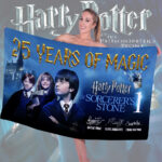 Harry Potter 25th Anniversary Rectangle Beach Towel – TMTHU2734