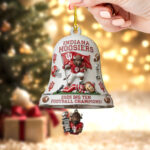 Indiana Hoosiers Football Big Ten Champions Custom Shape 2-sided Acrylic Ornament – TMTHU2546