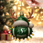 Saskatchewan Roughriders Custom Shape 2-sided Acrylic Ornament – TMTHU2570