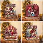 4PCS Indiana Hoosiers Football Custom Shape 2-Side Printed Acrylic Ornament – TANTN19260