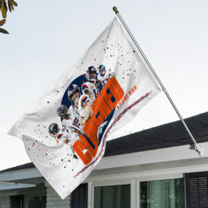 Denver Broncos 3D Double-side House Flag - TANTN19421