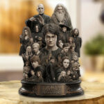 Harry Potter 25th Anniversary Custom Shape Acrylic Plaque – GNE7778