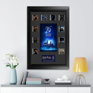 Harry Potter 25th Anniversary Rectangle Canvas With Inner Frame - TANTN24981