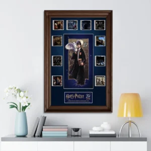 Harry Potter 25th Anniversary Rectangle Canvas With Inner Frame - TMTHU8633