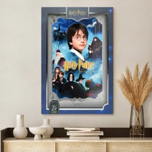 Harry Potter 25th Anniversary Rectangle Canvas With Inner Frame - TANTN24978
