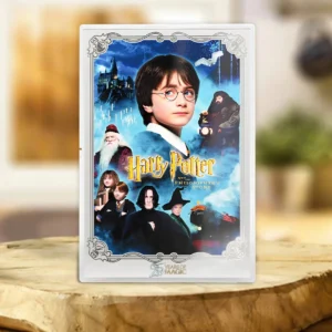 Harry Potter 25th Anniversary Custom Shape Acrylic Plaque - TANTN24980