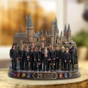 Harry Potter 25th Anniversary Custom Shape Acrylic Plaque - TMTHU9093